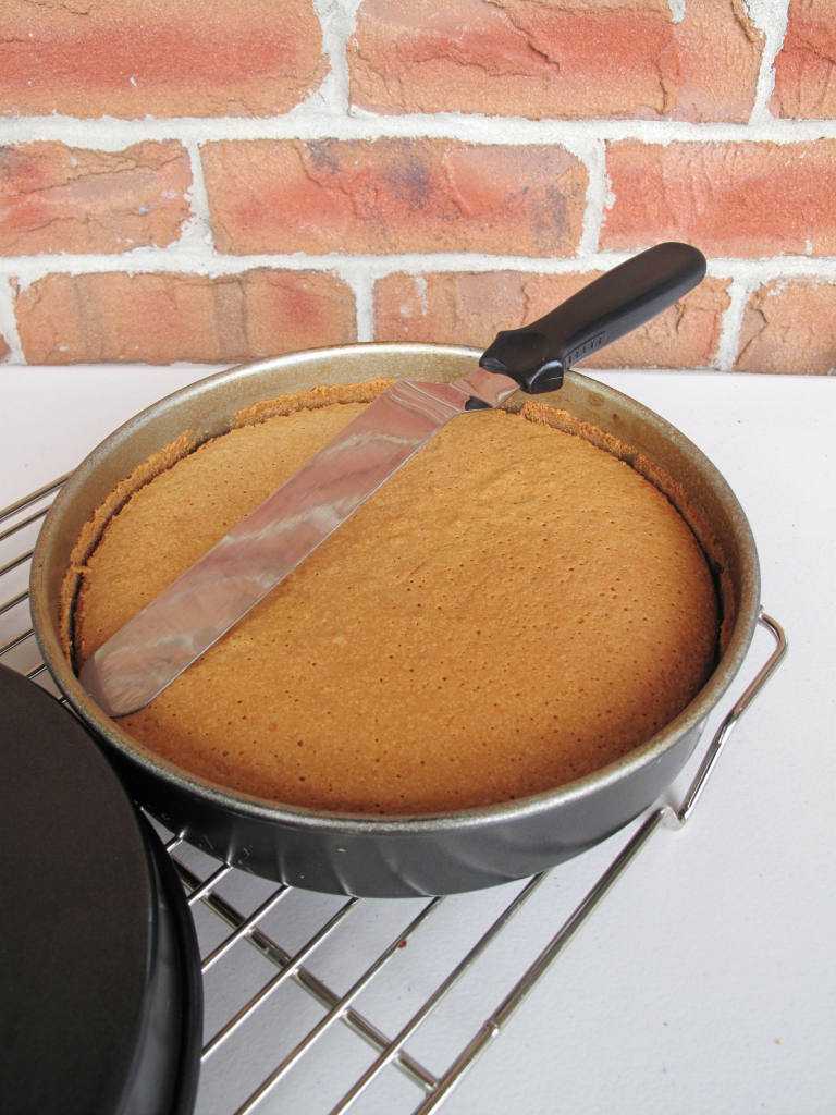 Chiffon Cake Tutorial IronWhisk