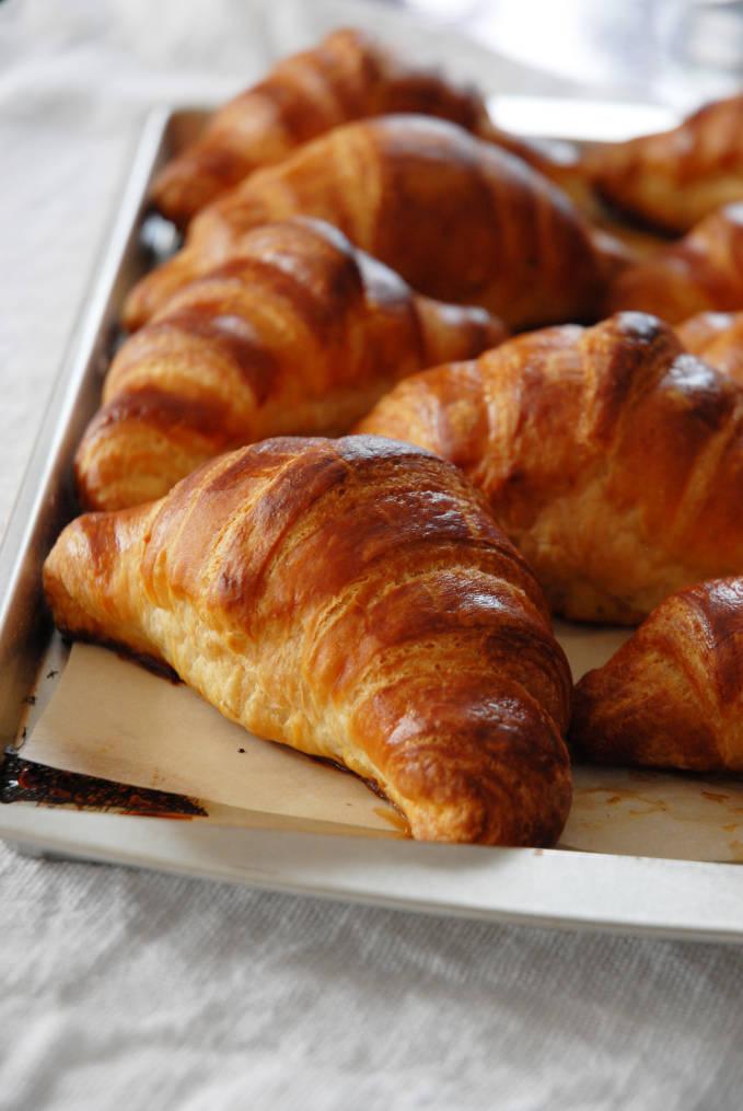 Tutorial French Croissants IronWhisk